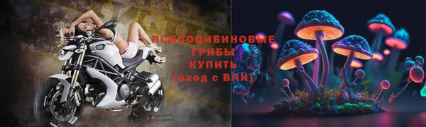 ПСИЛОЦИБИНОВЫЕ ГРИБЫ Волосово