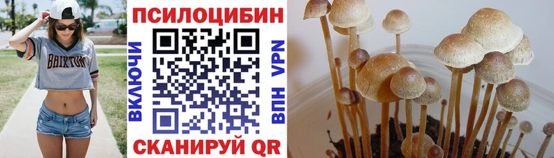Галлюциногенные грибы прущие грибы Оханск